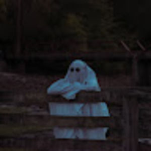 Meet your Posher, Jayden